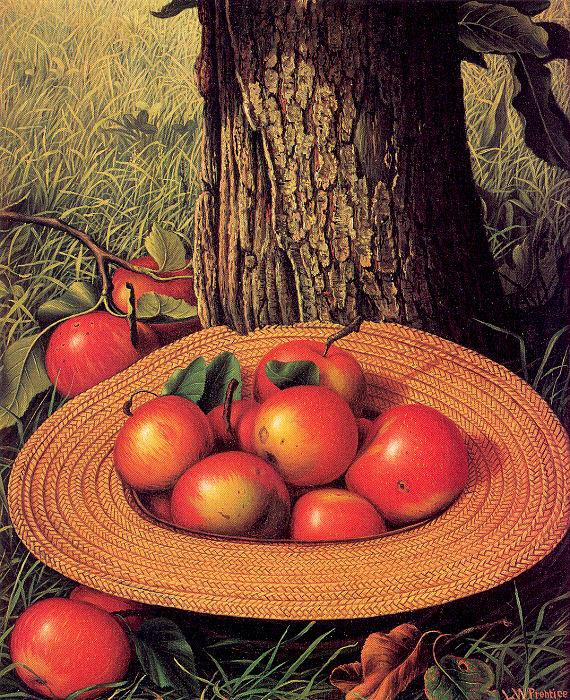  Apples, Hat, and Tree